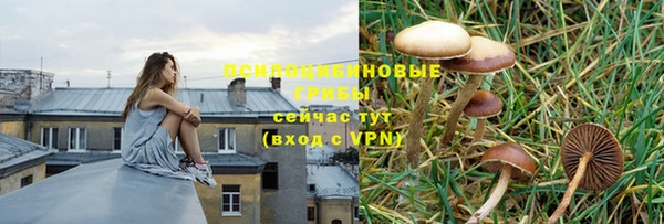 мескалин Верхний Тагил